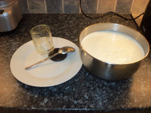 Proto-cheese in a bowl